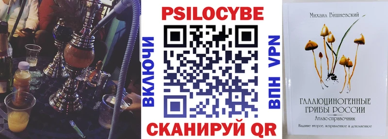 Галлюциногенные грибы Psilocybe  MEGA ссылка  Ершов  купить  сайты 