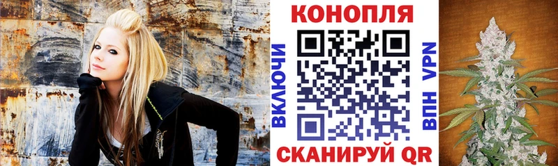 Бошки Шишки AK-47 Ершов